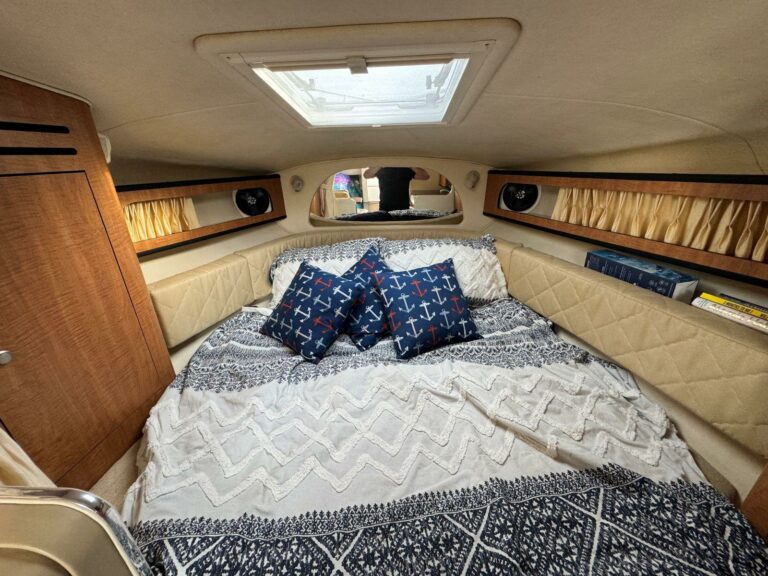 2006 Sea Ray 280 Sundancer - photo 23